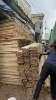 Pine and Eucalyptus Timber Building Supplier - 2