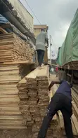 Pine and Eucalyptus Timber Building Supplier - 3