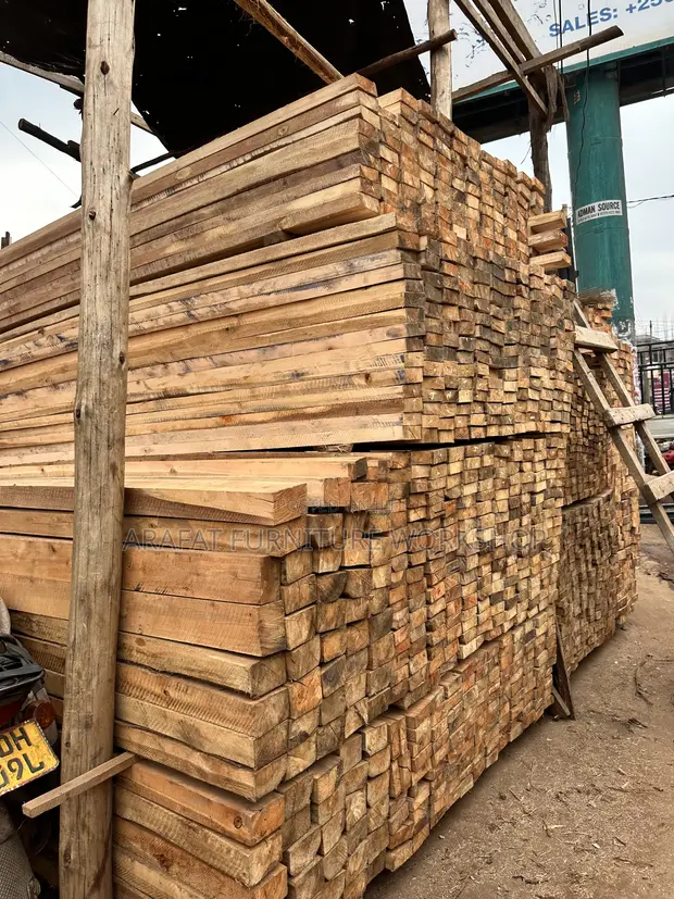 Eucalyptus and Pine Timber Supplier - 1