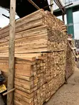 Eucalyptus and Pine Timber Supplier - 1
