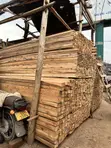 Eucalyptus and Pine Timber Supplier - 2