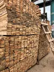 Eucalyptus and Pine Timber Supplier - 3