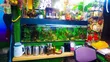Home Aquarium - Kampala - 2