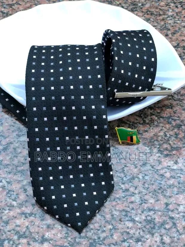 100% Silk Neckties with Tie Clip & Lapel Pin - 1