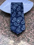 100% Silk Neckties with Tie Clip & Lapel Pin - 2