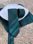 Golden Spring Tie Clips - 3