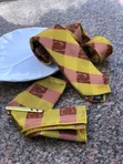 Golden Spring Tie Clips - 5