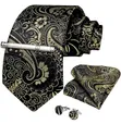DiBanGu 4-in-1 Paisley Necktie Combo Set - 2