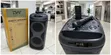 DigiWave Party Speaker DW-PS5019 with Microphone & Remote - 1