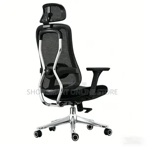 Ergonomic Metal Rod Back Support Office Chair - Brand New