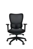 Adjustable Back Support Office Chair - Brand New - 1
