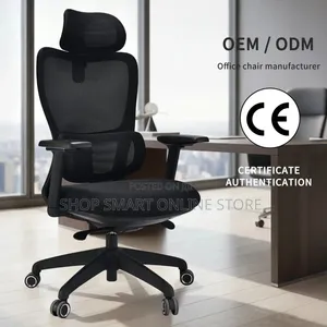 Brand New Adjustable Office Chair with Back Support
