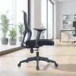 Swivel Classic Office Chairs - Brand New - 2