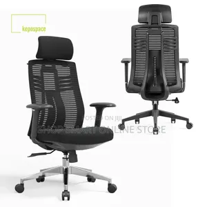 Orthopedic Adjustable Office Chair - Brand New