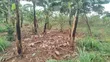 Plot for Sale in Namulesa, Jinja City - 1