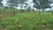 Plot for Sale in Namulesa, Jinja City - 2