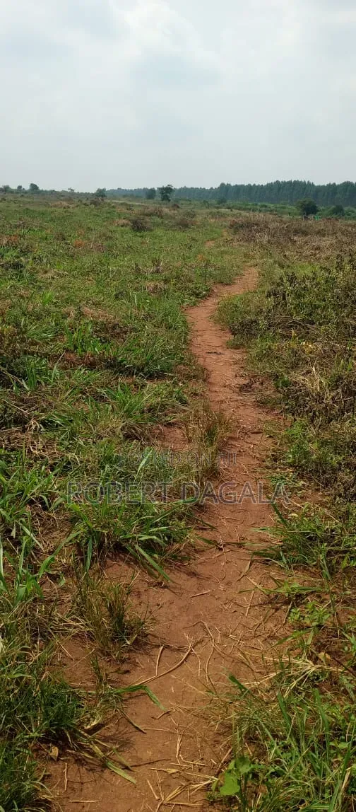 Plot for Sale in Bugembe Town Council, Jinja City - 1