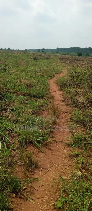 Plot for Sale in Bugembe Town Council, Jinja City