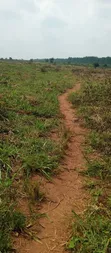 Plot for Sale in Bugembe Town Council, Jinja City - 1