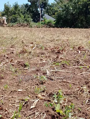 2 Acres of Land for Quick Sale in Lira City