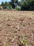 2 Acres of Land for Quick Sale in Lira City - 1