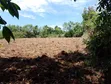 2 Acres of Land for Quick Sale in Lira City - 2