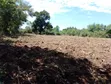 2 Acres of Land for Quick Sale in Lira City - 4