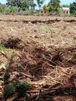 2 Acres of Land for Quick Sale in Lira City - 5