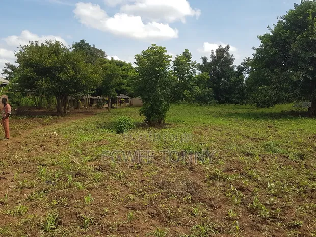 Land for Sale in Lira City - 1