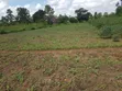 Land for Sale in Lira City - 4