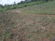 Land for Sale in Lira City - 5