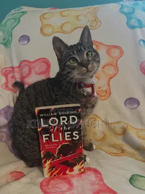 The Lord of the Flies by William Golding