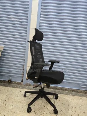 Orthopedic Back Support Office Chair - Brand New