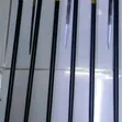 Brand New Walking Sticks - 2