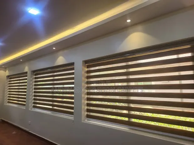 Premium Zebra Blind Curtains - 1