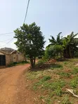 Prime Land for Sale in Namugongo Sonde - 1