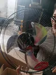 Eureka 16" Wall Mounted Fan - 1