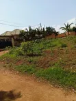 Seeta Bajjo Plots for Sale - 2