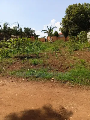 Busukuma Residential Plots for Sale