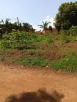Busukuma Residential Plots for Sale - 2