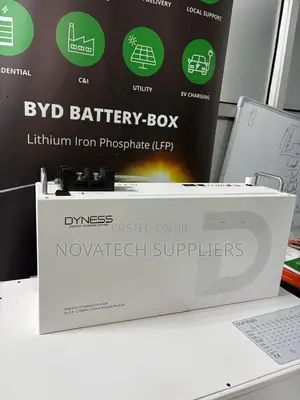 Dyness 25.6V 100Ah 2.56kWh Solar Battery - 10 Year Warranty