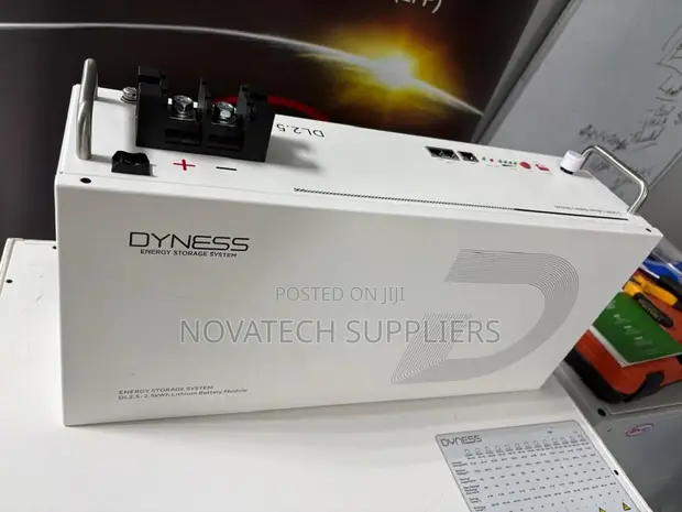 Dyness 25.6V 100Ah Solar Battery 2.56kWh - 1