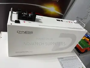 Dyness 25.6V 100Ah Solar Battery 2.56kWh