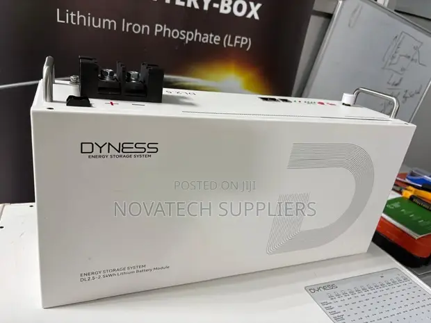 Dyness 25.6V 100Ah 2.56kWh Battery - Wall/Rack Mount - 1
