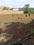 Namugongo Budugala Plots for Sale at 35m - 1