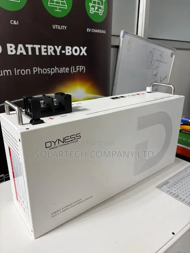Dyness 25.6V 100Ah 2.56kWh Battery - 10 Year Warranty - 1