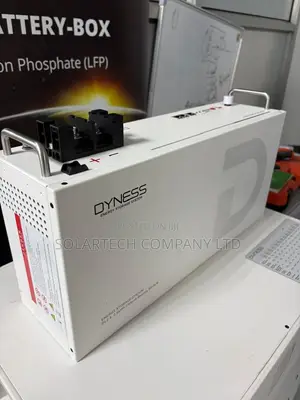 Dyness 25.6V 100Ah Solar Battery 2.56kWh