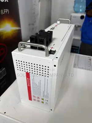 Dyness 25.6V 100Ah 2.56kWh Battery - Wall/Rack Mount