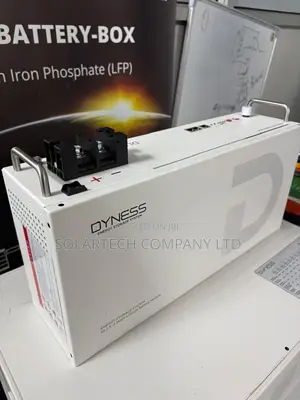 Dyness 2.56kWh Solar Battery 25.6V 100Ah 6000 Cycles