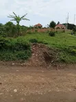 Prime Plots for Sale - Gayaza at 25m - 3